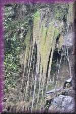 Waterval